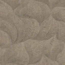  Aura Vogue 221143