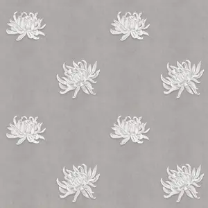  Aura Wild Life MWCH102 -  1
