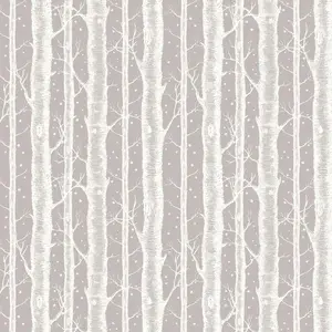  Aura Wild Life MWFT102 -  1