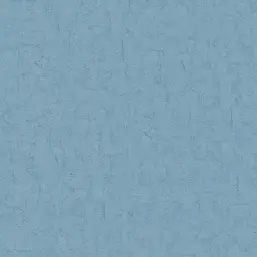  BN Van Gogh 2 17113