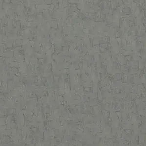  BN Van Gogh 2 17121 -  1
