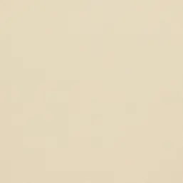  BN Van Gogh BN 17123