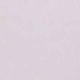  BN Van Gogh BN 17126