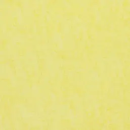  BN Van Gogh BN 17131