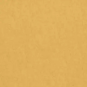  BN Van Gogh 2 17132 -  1