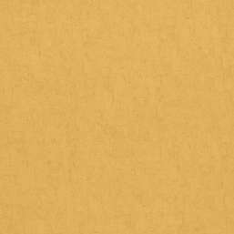  BN Van Gogh 2 17132