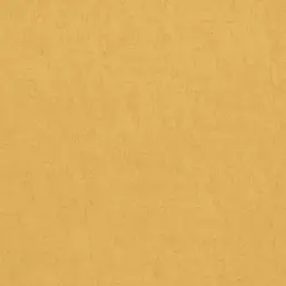 BN Van Gogh 2 17132