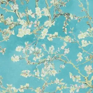  BN Van Gogh 2 17140 -  1