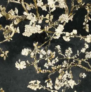  BN Van Gogh 2 17145 -  1
