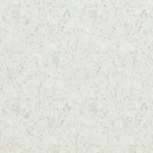  BN Van Gogh BN 17152 -  1