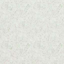  BN Van Gogh BN 17152