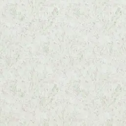  BN Van Gogh BN 17152