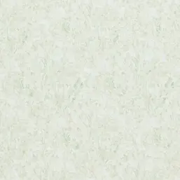  BN Van Gogh BN 17153