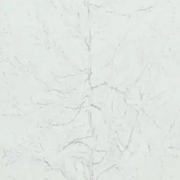  BN Van Gogh BN 17163