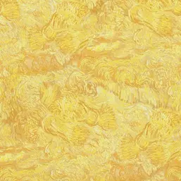  BN Van Gogh BN 17170