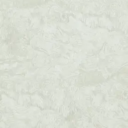  BN Van Gogh BN 17172