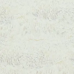  BN Van Gogh BN 17182
