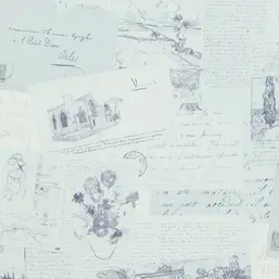  BN Van Gogh BN 17203