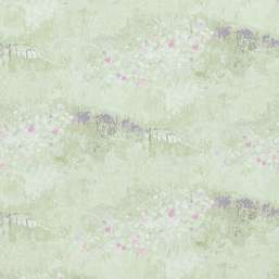  BN Van Gogh BN 17211