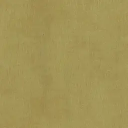  BN Color Stories 218502