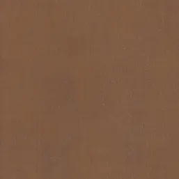  BN Color Stories 218516