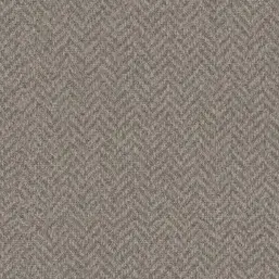  BN Material World 219832