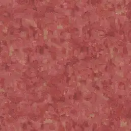  BN Van Gogh 2 220040