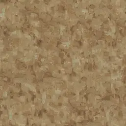  BN Van Gogh 2 220042