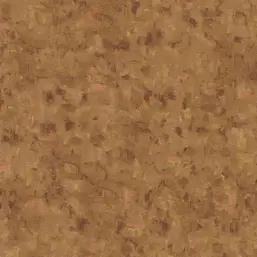  BN Van Gogh 2 220045
