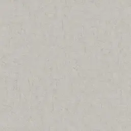  BN Van Gogh 2 220071