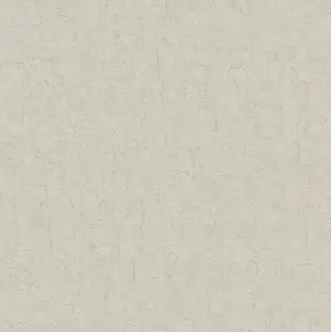  BN Van Gogh 2 220072 -  1