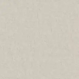  BN Van Gogh 2 220072