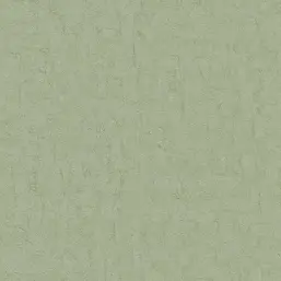  BN Van Gogh 2 220073