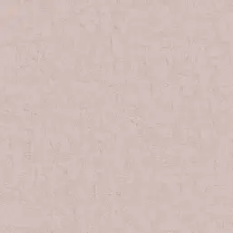  BN Van Gogh 2 220074
