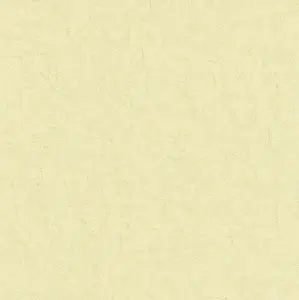 BN Van Gogh 2 220078 -  1