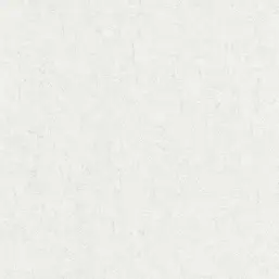  BN Van Gogh 2 220083
