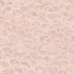  BN Fiore 220453