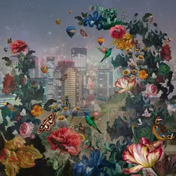  BN Dutch Masters 30725