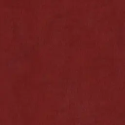  BN Color Stories 46016