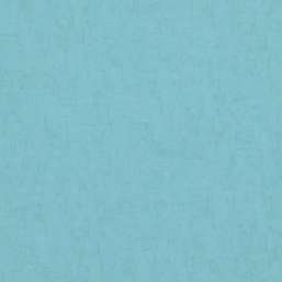  BN Van Gogh BN 17113
