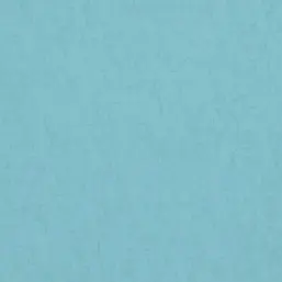  BN Van Gogh BN 17113