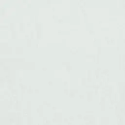  BN Van Gogh BN 17117