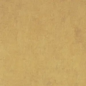  BN Chacran II 18452 -  1