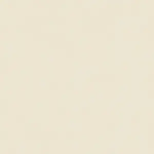  BN Doodleedo 220800 -  1