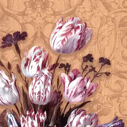  BN Dutch Masters 17800