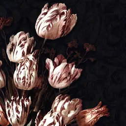  BN Dutch Masters 17801