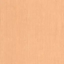  BN Dutch Masters 17833