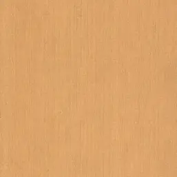  BN Dutch Masters 17835