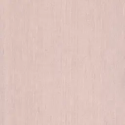  BN Dutch Masters 17836