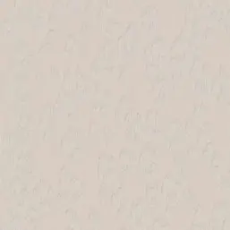  BN Grand Safari 220551